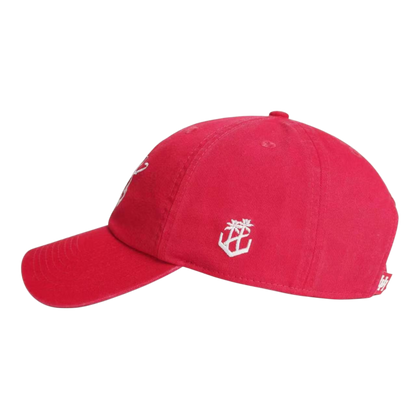Vintage UH Cougar