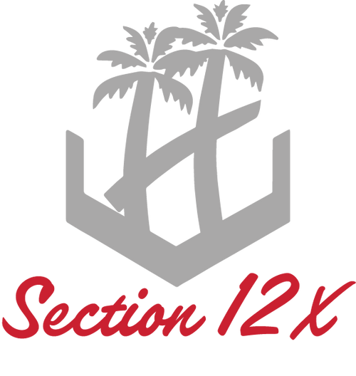 Section 12X